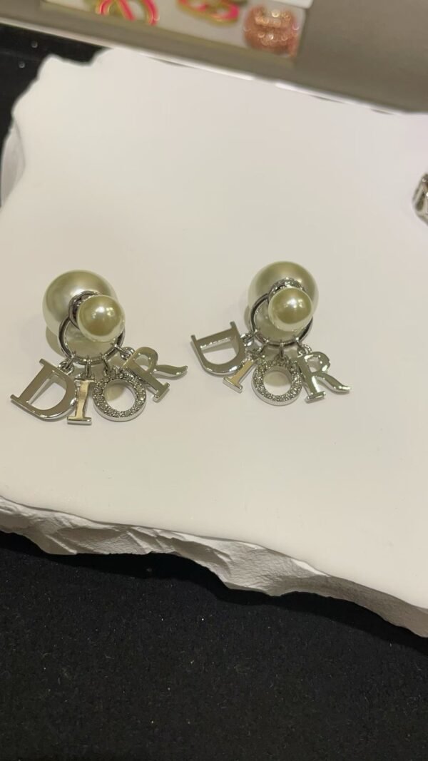 CD-Earrings